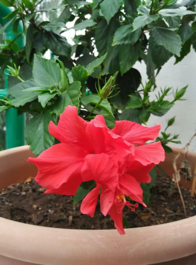 Casa Lanza Villa Playa Honda  Ngoại thất bức ảnh